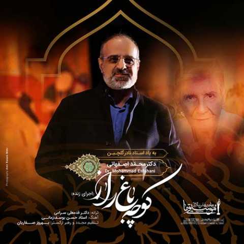 Mohammad Esfahani Kooche Baghe Raaz Live